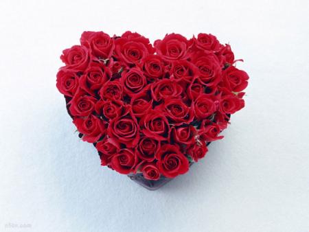 coeur de fleurs rouge